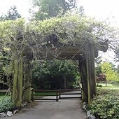 DSC00011.JPG