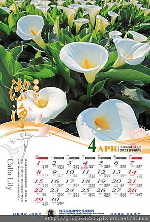 4月-海芋.jpg