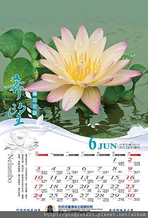 6月-蓮花.jpg