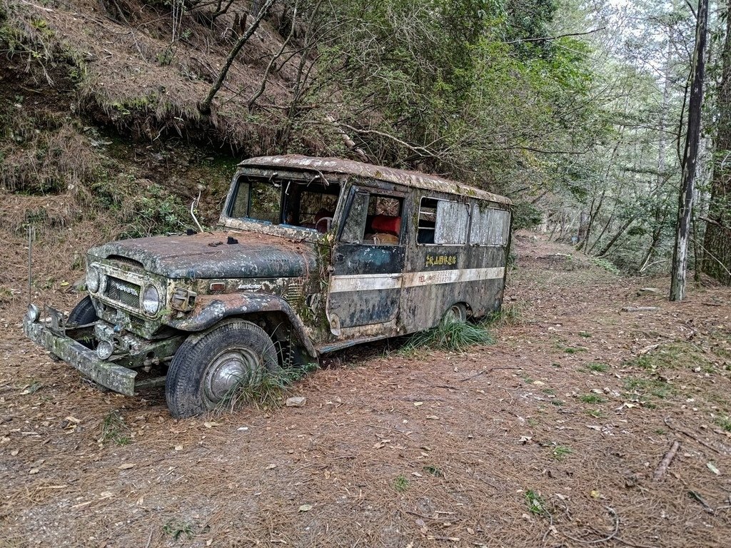 郡大林道龍貓公車