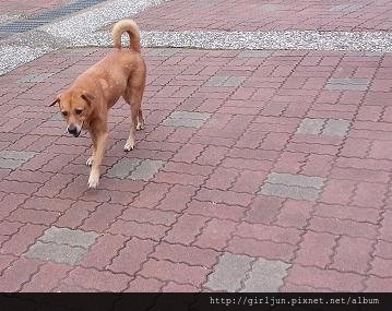 20141005_163331.JPG