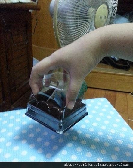 20160911_145255.JPG