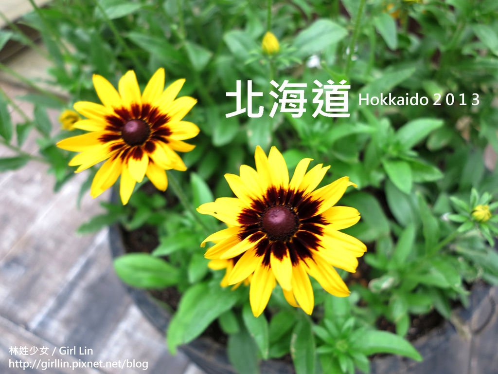 20130725 (39)