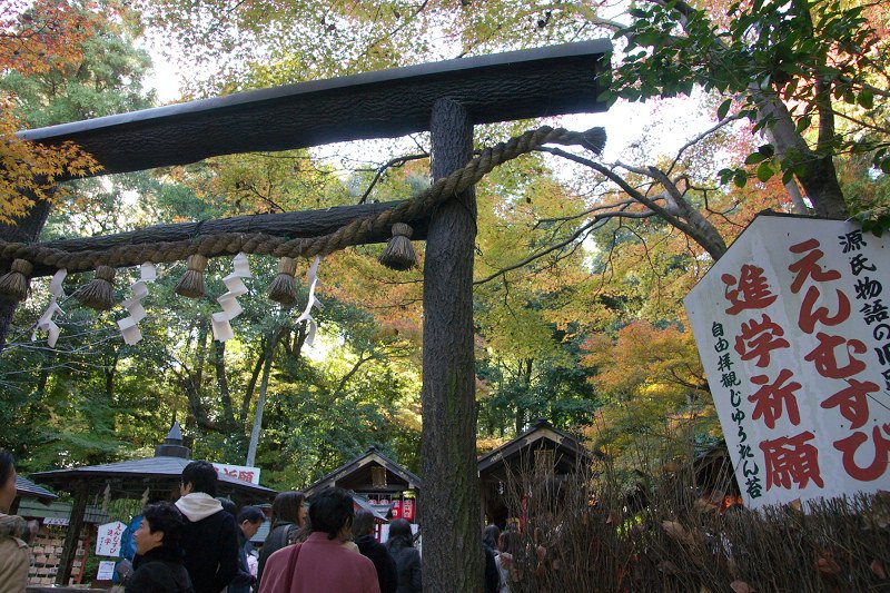 DSC05913.jpg