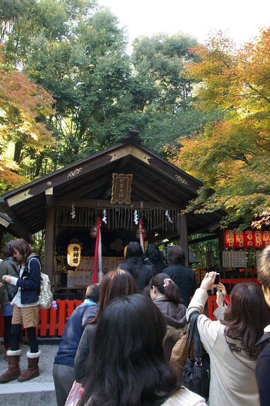 DSC05918.jpg