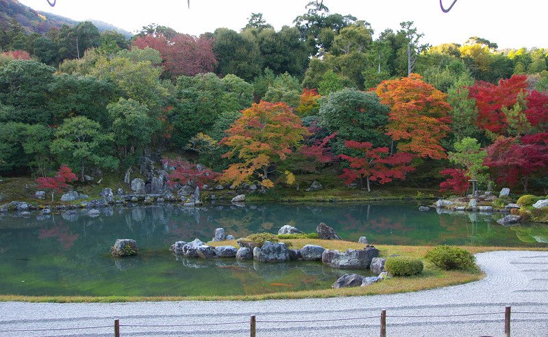 DSC06027.jpg