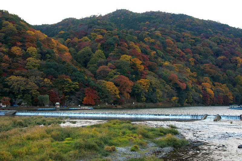 DSC06090.jpg