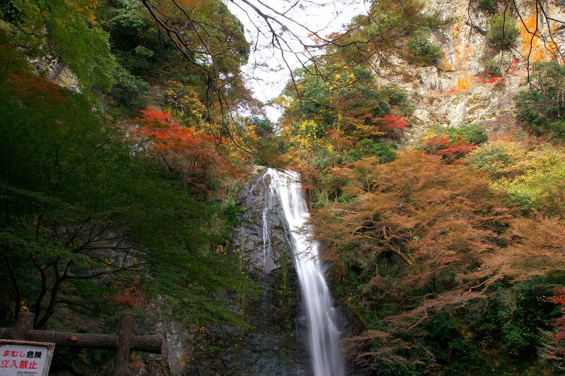 DSC04107.jpg