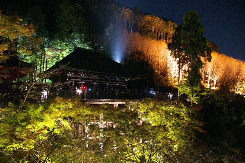 DSC01536