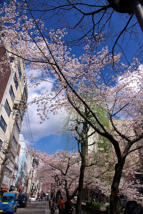 DSC05165