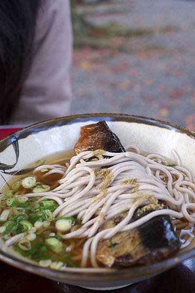 DSC04186.jpg