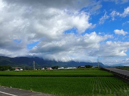 台東平原 (5)