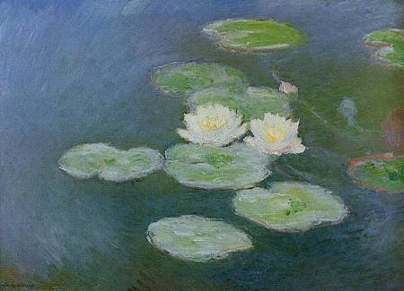 waterlilies evening.jpg