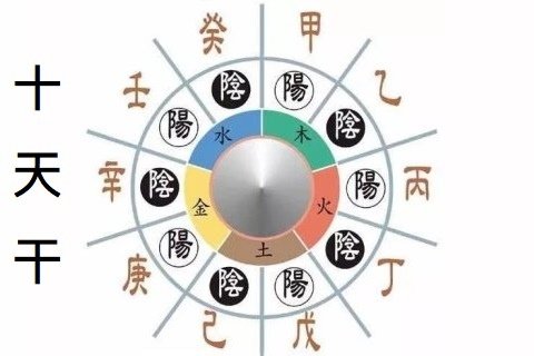 天干01.jpg