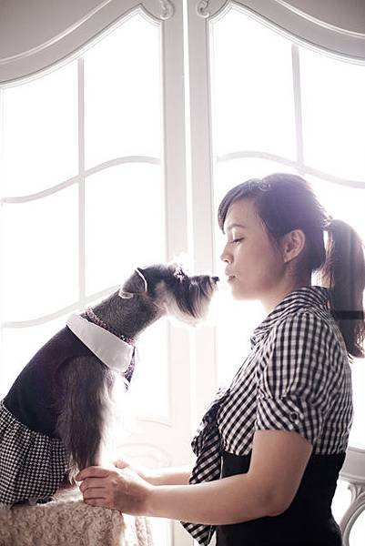 高雄寵物寫真攝影-可愛雪納瑞愛犬