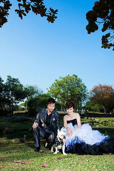 [自助婚紗 |毛小孩|寵物婚紗|狗狗婚紗] 