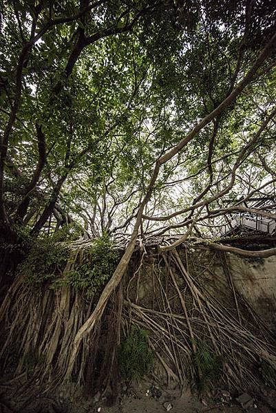 台南婚紗景點推薦50精選