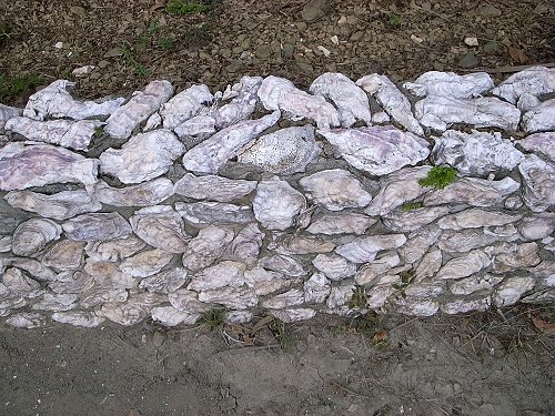 R0019447a.jpg