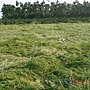 DSC02498
