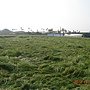 DSC02481