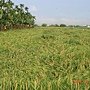 DSC02492