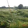 DSC02495
