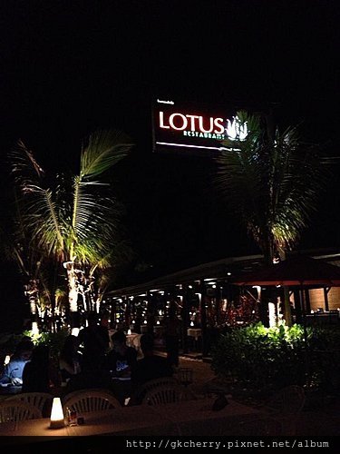 Lotus Restaurant 1.jpg