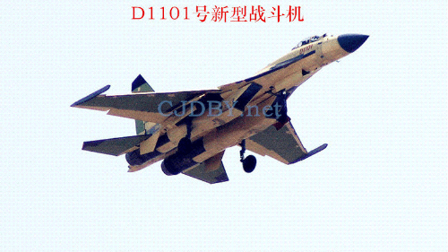 J-11D