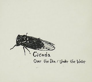 cicada.jpg