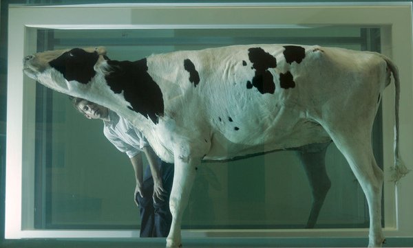 達明安·赫斯特(Damien Hirst2.jpg