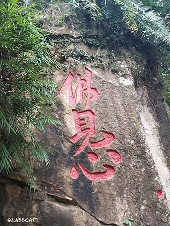 合美山06.jpg