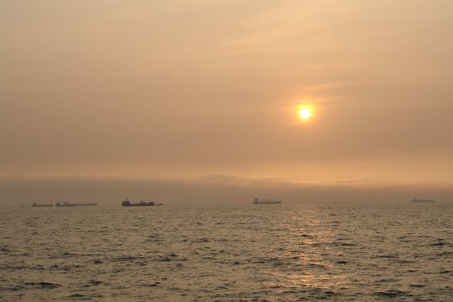 DSC01247.JPG