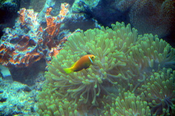 IMG_3870.jpg