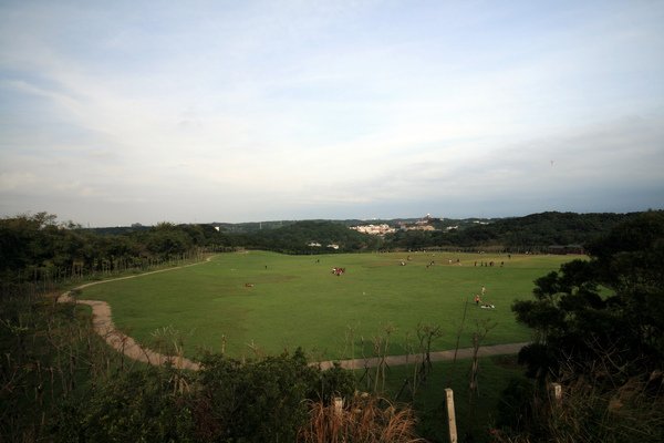 IMG_9378.JPG