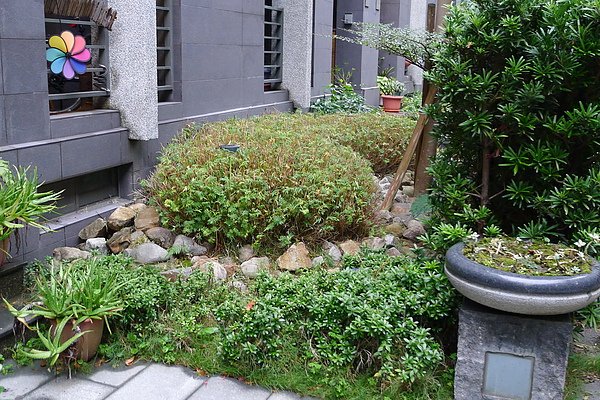 P1000006.JPG
