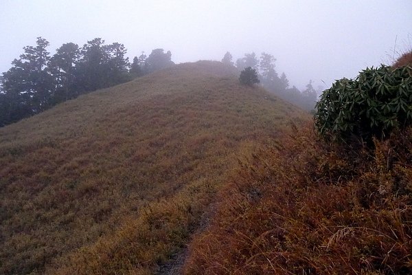 P1010171.JPG