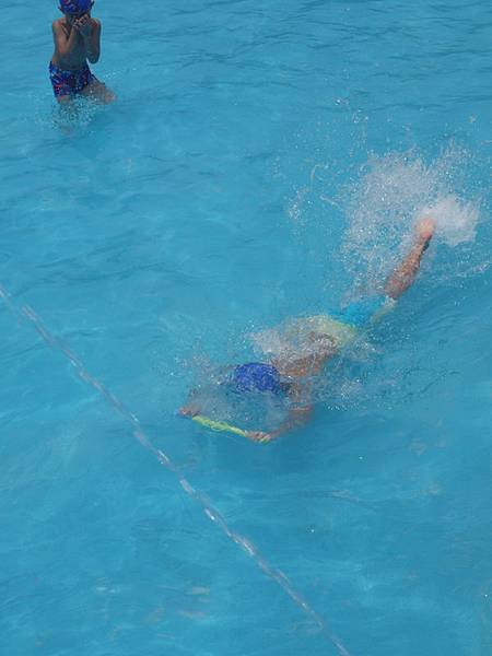 P1160994.jpg