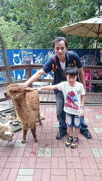 DSC_1480.jpg