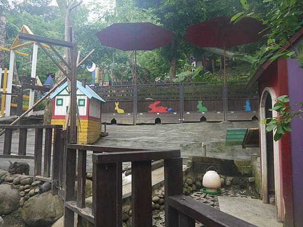 P1170334.jpg