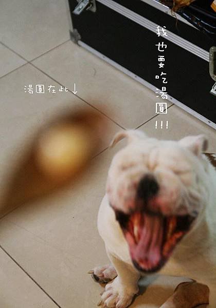 湯圓 018.jpg