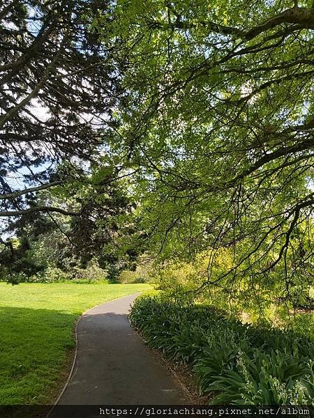 AucklandBotanicGardens20221024_111753.jpg