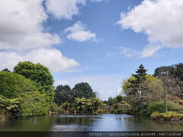 AucklandBotanicGardens20221024_121656.jpg