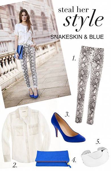 SNAKE_BLUE-e1353955774241