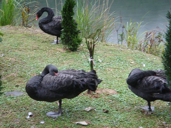 DSC00519.JPG