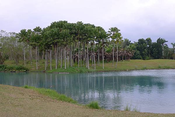 P1080703