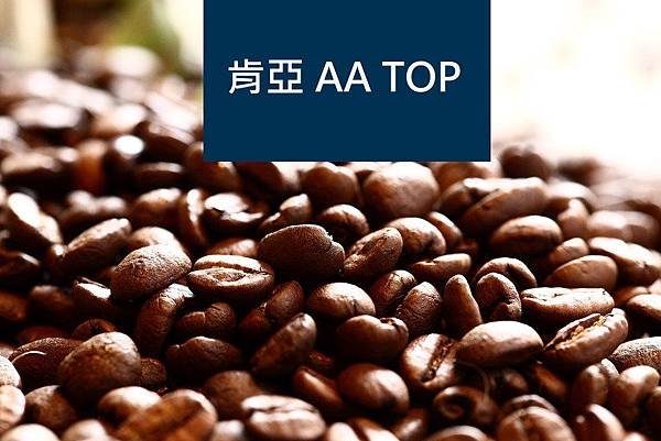 肯亞 AA TOP.jpg