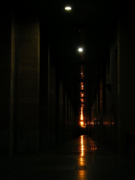 DSCN2532.jpg