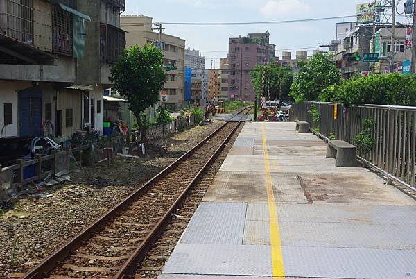 IMGP5204