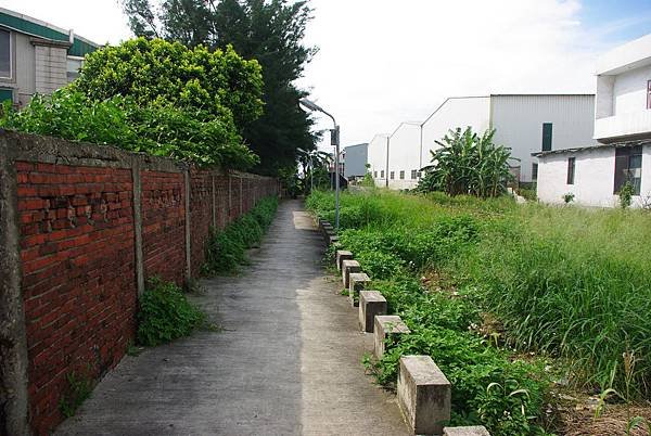 IMGP5259