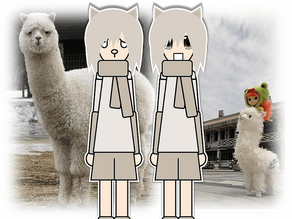 800px-Alpaca_shota.png